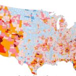 Rabbit Population Density