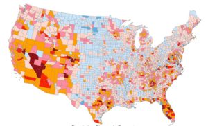 Rabbit Population Density