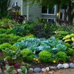 rabbit proof garden